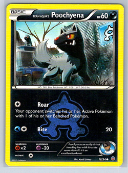 Team Aqua's Poochyena 16/34 Double Crisis MP Pokemon Card - Image 1