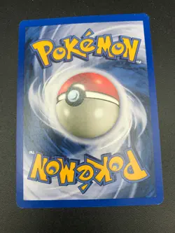 Swinub 1st Edition 84/105 Common Neo Destiny Pokemon Vintage WOTC NM 2002 - Image 2