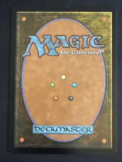 1x Dragon Turtle (056) Adventures in the Forgotten Realms LP MTG Magic x1 MKE - Image 2