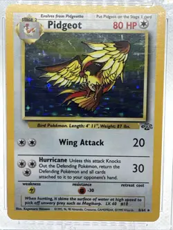 1999 Jungle Pidgeot Holo Pokemon Card 8/64 CGC 8 - Image 4
