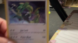 Rayquaza SWSH029 SWSH: Sword & Shield Promo Cards Holo - Image 2