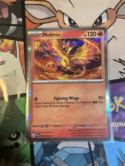 Moltres #014/094 Me02 Phantasmal Flames Holo Rare Pokemon TCG NM - Image 1