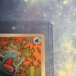 Pokemon TCG First Partner Pack Series 2 Gen 2 (Johto) Starters - Image 4