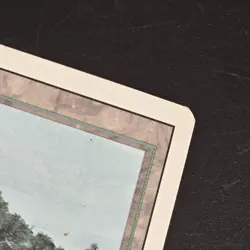 Tropical Island Revised Edition Regular MP Magic The Gathering MTG Ships FAST - Image 2