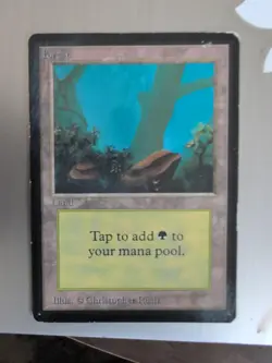 VTG MTG Forest - HP - Limited Edition Beta Magic the Gathering Card 300 - Image 1