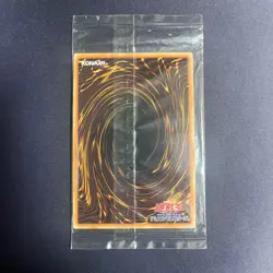 YuGiOh Card Creator God of Light Horakhty Holactie YGOPR-JP001 Japanese Unopened - Image 3