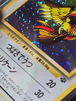 CGC 8.5 Japanese Pidgeot Jungle Holo Half Swirl Pokemon Card - Image 2