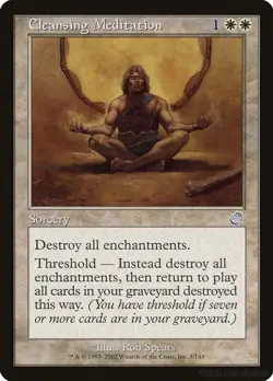 EN Cleansing Meditation 3 Torment Uncommon LP - Image 1