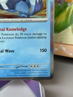 Carracosta - 038/142 Sv07: Stellar Crown Holo Rare Pokemon Card TCG - Image 5