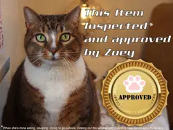 Blight Alternate Fourth 4th Edition (NM) English - Magic The Gathering - MTG - Image 3