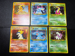 Typhlosion Meganium Feraligatr Neo Genesis Premium File Japanese Pokemon Card #2 - Image 1