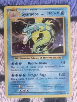 Pokemon TCG Gyarados 34/108 holo Evolutions set Holo NM - Image 1