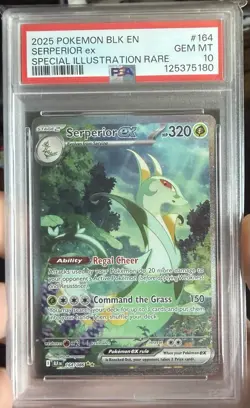2025 Pokemon Serperior EX BLK EN Special Illustration Rare SIR 164/086 PSA 10 - Image 3