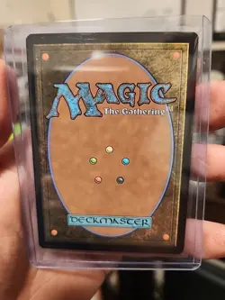 Windswept Heath Modern Horizons 3 Regular Rare MTG - Image 2