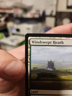 Windswept Heath Modern Horizons 3 Regular Rare MTG - Image 3