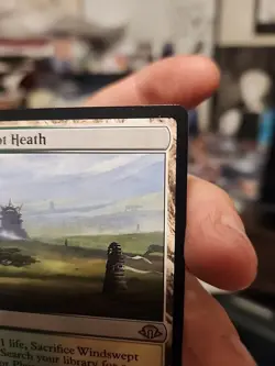 Windswept Heath Modern Horizons 3 Regular Rare MTG - Image 4