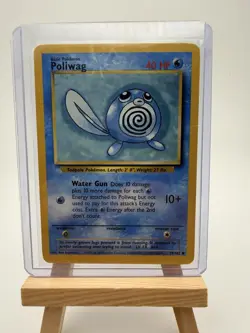 Basement Pokemon Lot 1999 Pikachu Squirtle Eevee Poliwag - Image 3