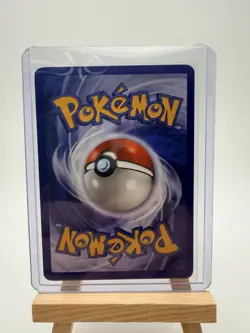 Basement Pokemon Lot 1999 Pikachu Squirtle Eevee Poliwag - Image 4