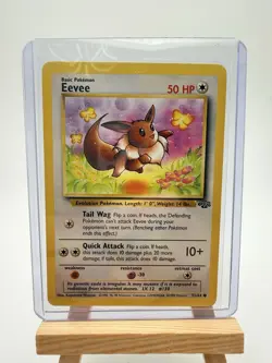 Basement Pokemon Lot 1999 Pikachu Squirtle Eevee Poliwag - Image 5