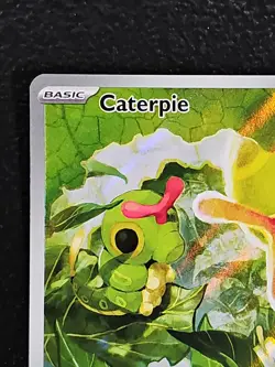 Pokemon TCG Caterpie 172/165 Sv: Scarlet & Violet 151 Illustration Rare Holo NM - Image 2