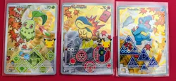 Pokemon First Partner Series 2 Johto Starter Set - Image 1