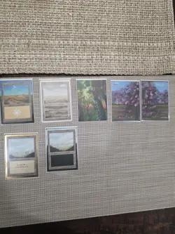 Mtg Magic The Gathering Hand Painted Alter Plains Forest Lot - Image 1