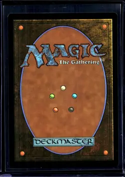 2021 MTG Magic The Gathering AFR Forgotten Realms Showcase #317 Delina Wild Mage - Image 2