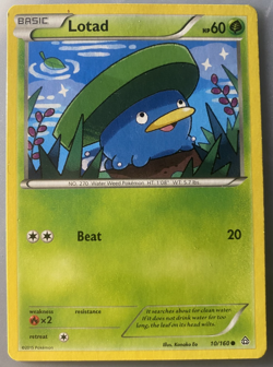 Lotad 10/160 Common Primal Clash XY Pokemon TCG 2015 NM/LP English Free Ship US - Image 1