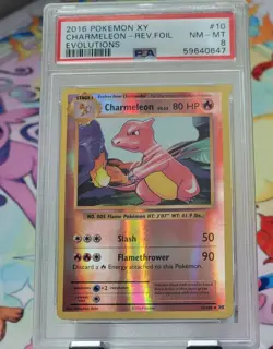 PSA 8 - 2016 XY Evolutions Charmeleon Rev Foil NM-MT Pokemon Card - Image 1