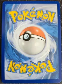 Skwovet 222/198 Pokemon Scarlet Violet Base Illustration Rare NM Pokemon Card - Image 2