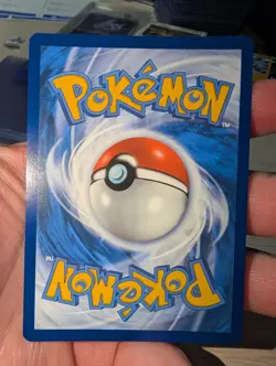 2023 Pokemon Scarlet & Violet Skwovet 222/198 Illustration Rare NM - Image 2