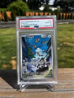 Pokemon TCG SV05 Temporal Forces Chatot 181/162 Illustration Rare Holo PSA 10 - Image 1