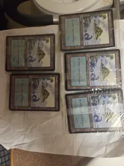 Mtg Magic The Gathering Sealed PARL Arena (1996) Promo 10 card land packs $92 - Image 5