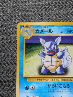 Wartortle Japanese Base Pokemon card old back US seller - Image 2