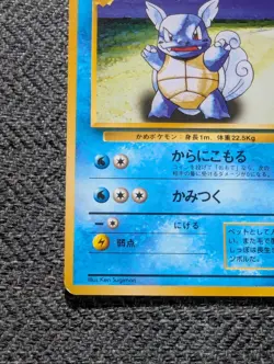 Wartortle Japanese Base Pokemon card old back US seller - Image 3