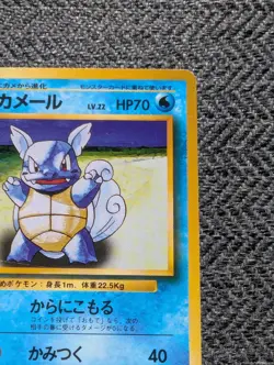 Wartortle Japanese Base Pokemon card old back US seller - Image 5
