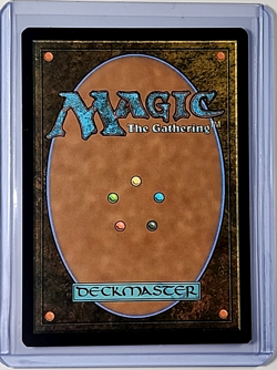 2024 MTG Magic the Gathering SLD Secret Lair Drop Borderless #1694 Inkshield - Image 2