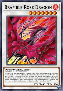 DOOD-EN039 Bramble Rose Dragon Starlight Rare 1st Ed YuGiOh Preorder - Image 1