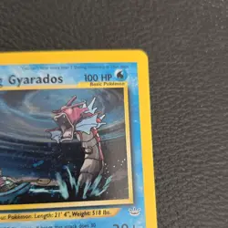 Shining Gyarados 65/64 Neo Revelation Holo Secret Rare EN - Image 4