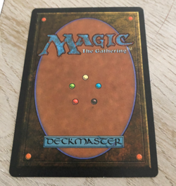 Armageddon MTG Revised NM - Image 2