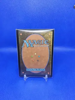 [1x] Shalai, Voice of Plenty (244) - Foil Near Mint, English Secret Lair MTG Mag - Image 2