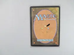 MTG - Parallel Evolution - Torment (TOR) NMT - Image 2