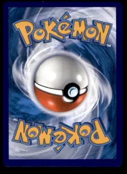 Boltund V SWSH085 HOLO P Sword & Shield Promo Pokemon NM HOLO - Image 2