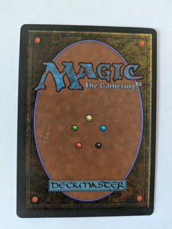 Italian Sylvan Paradise Legends MTG Exc Free shipping with tracking - Image 2