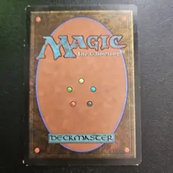 Magic the Gathering MTG Evolving Wilds (224) Magic 2013 LP TCG CCG - Image 4