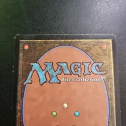 Magic the Gathering MTG Evolving Wilds (224) Magic 2013 LP TCG CCG - Image 5