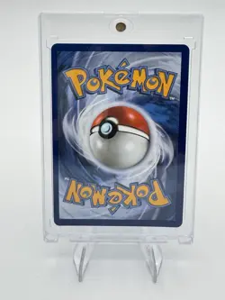 Squirtle 039 MEP Black Star Promo-1st Partner Illustration-30th Anniversary NM/M - Image 2
