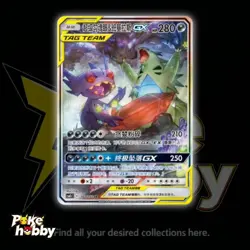 Mega Sableye&Tyranitar GX CSM2cC 160/150 SR Pokemon Sun&Moon Chinese Card 2023 - Image 1