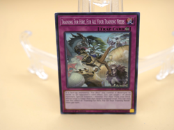 Yugioh Training Fur Hire, Fur All Your Training Needs MP19-EN256 1st Ed Common - Image 1
