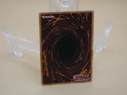 Yugioh Training Fur Hire, Fur All Your Training Needs MP19-EN256 1st Ed Common - Image 2